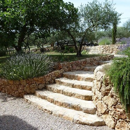 Mas De L'Olivette Bed & Breakfast Cotignac Luaran gambar