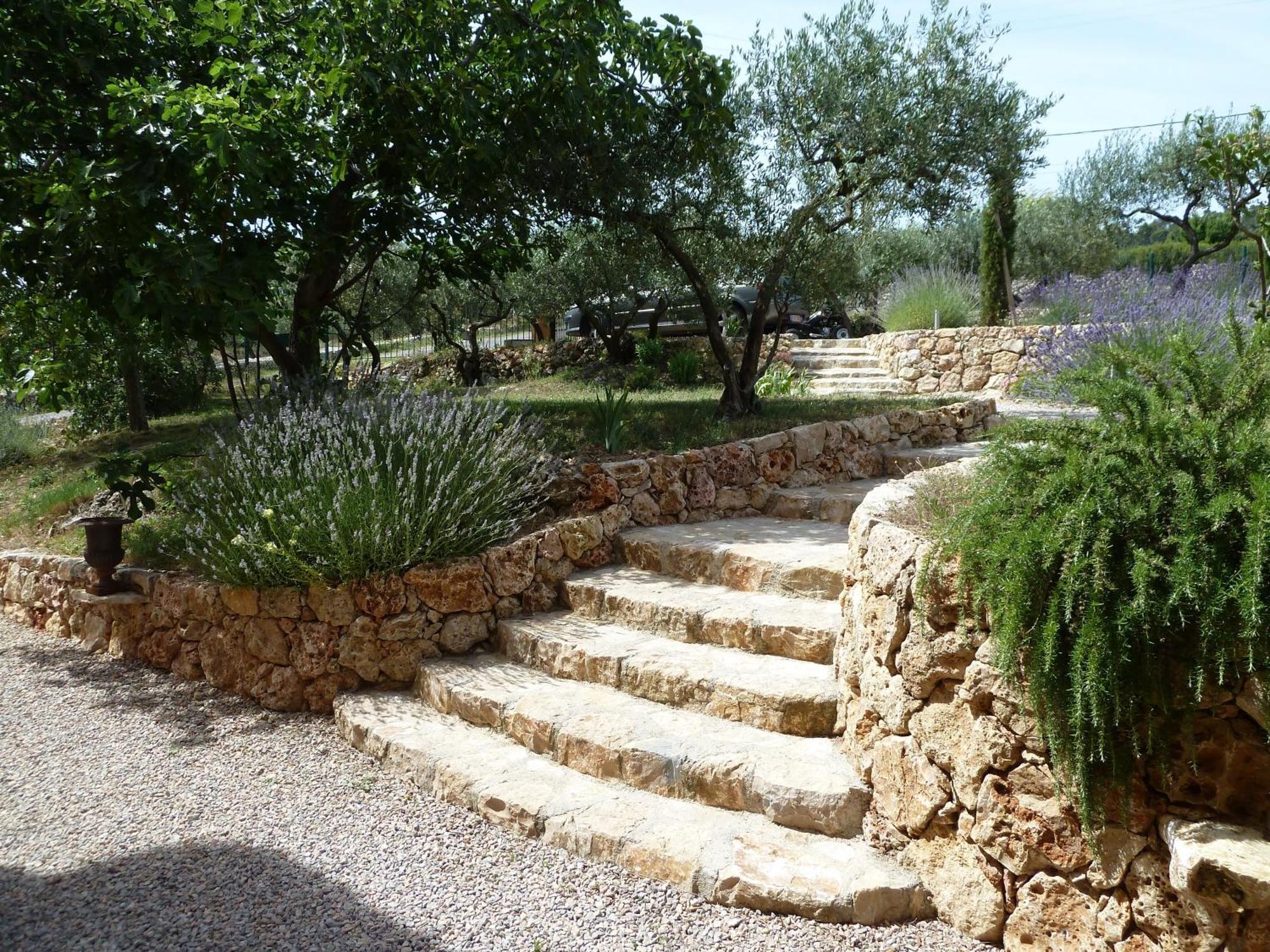 Mas De L'Olivette Bed & Breakfast Cotignac Luaran gambar